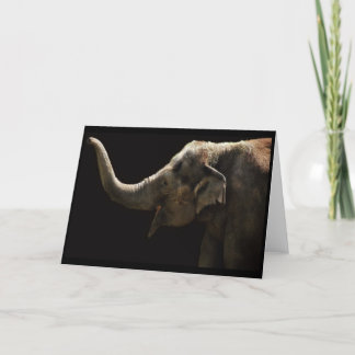 Happy Elephant-Blank Card