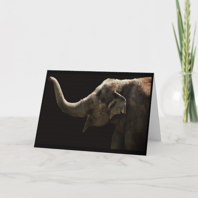 Happy Elephant-Blank Card (Front)