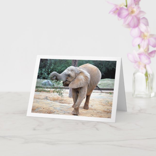 Happy Elephant Card (Orchid)