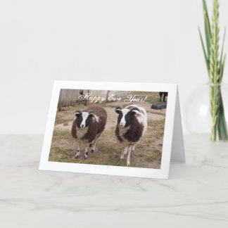 "Happy Ewe Year" Jacob Sheep New Year Card