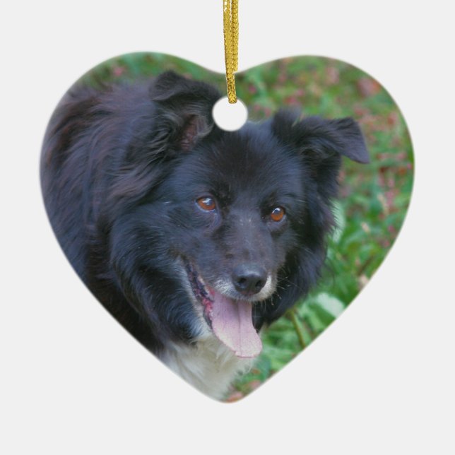Happy Face Border Collie Dog Ornament (Front)
