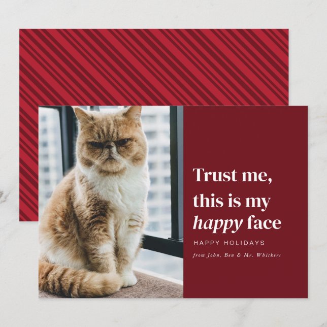 Happy Face Funny Pet Photo Christmas Holiday Card (Front/Back)
