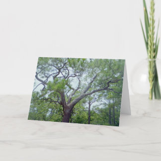 Happy Fathers Day Card