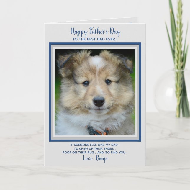 Happy Father's Day- Cute Funny Dog Dad - Pet Photo Thank You Card (Front)