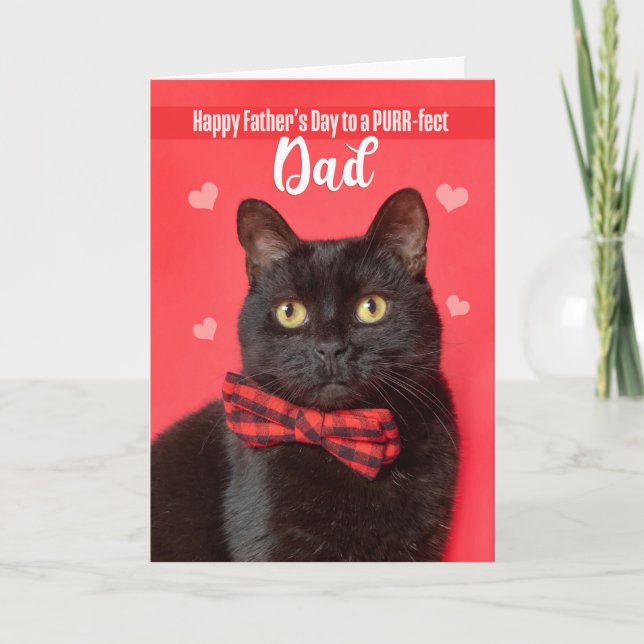 	Happy Father's Day Dad Cute Cat in Bow Tie Humour Holiday Card (Front)
