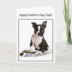 Happy Father's Day from Boston Terrier Dog, to Dad Card