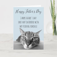 Happy Father's Day From Cat To Human Humour