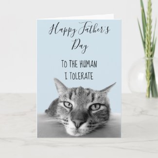 Happy Father's Day  From Cat To Human I Funny Card