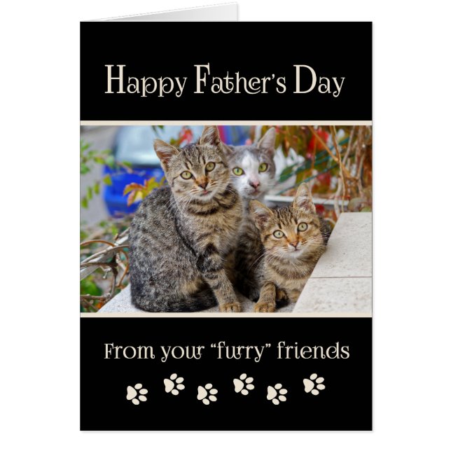 Happy Father's Day from Cats - photo (Front)