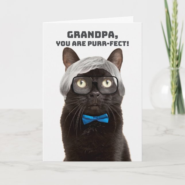 Happy Father's Day Grandpa Old Man Cat Humour  Holiday Card (Front)
