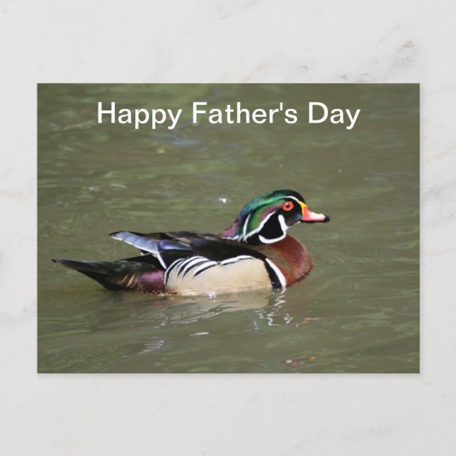 Happy Father's Day Swimming Duck Postcard (Front)