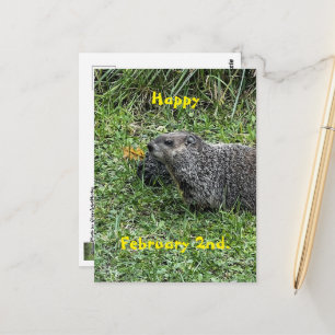 Happy February 2nd Custom Groundhog Postcards