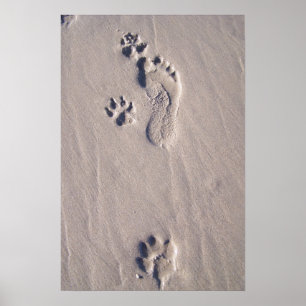 Happy Feet Poster