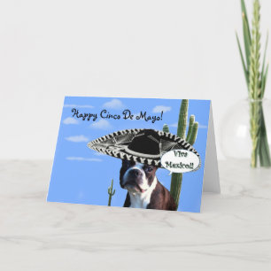 Happy five of Mayo boston terrier greeting card