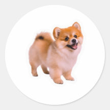Happy Fluffy Pomeranian Puppy Sticker, Cute Dog Lo