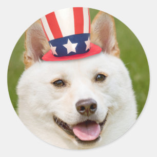 Happy Fourth of July Shiba Inu Dog in Hat Classic Round Sticker