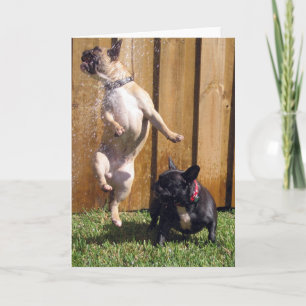 Happy French Bulldog Card