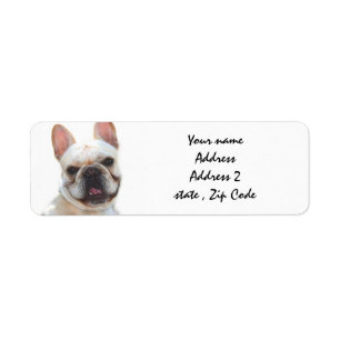 Happy French Bulldog dog