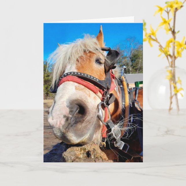 Happy Friendly Horse Birthday Card (Yellow Flower)
