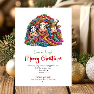 Happy Funny Cows Cartoon Christmas Greeting Card D