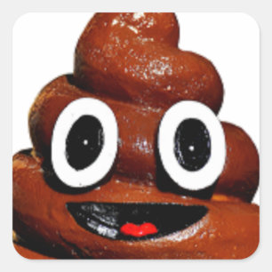 happy funny poop emoji square sticker