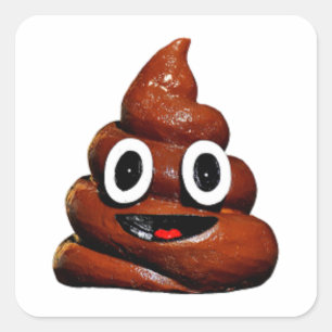 happy funny poop emoji square sticker
