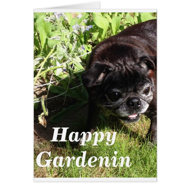 Happy Gardenin (Front)