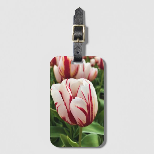 Happy Generation Tulip, Oregon Luggage Tag (Front Vertical)