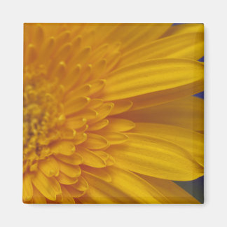 Happy Gerber  Square Magnet