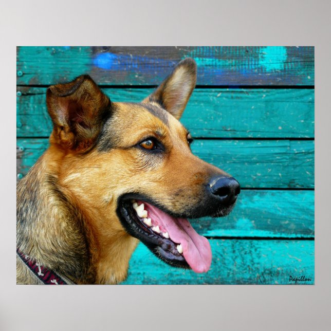 Happy German Shepherd Dog Poster (Front)