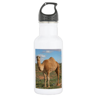 HAPPY GIFTING 532 ML WATER BOTTLE