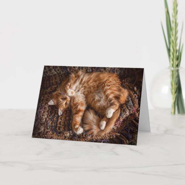 Happy Ginger Cat Birthday Card (Front)
