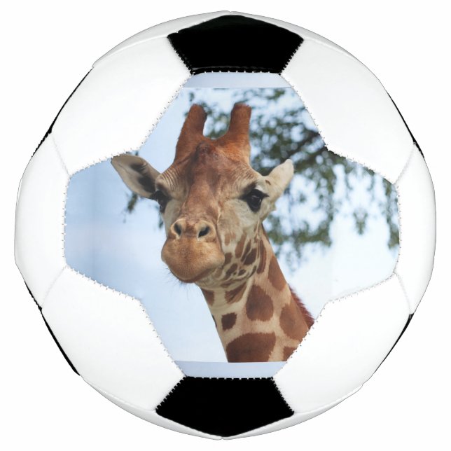 Happy Giraffe Close Up Wildlife Safari Football (Front)