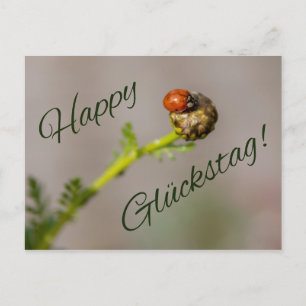 Happy Glückstag - mit Marienkäfer! Postcard