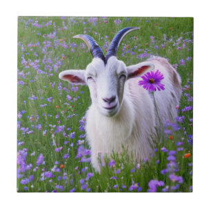 Happy Goat  Tile