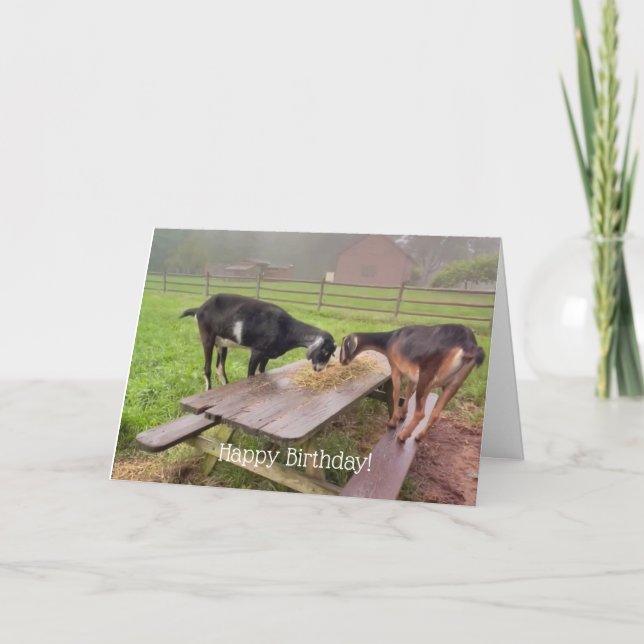 Happy Goats Sunset Birthday Card (Front)