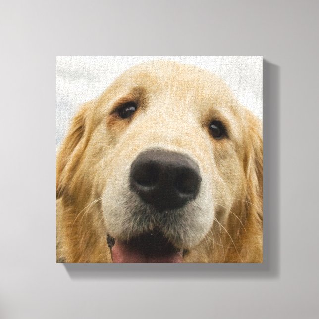 Happy Golden Retriever Canvas Print (Front)