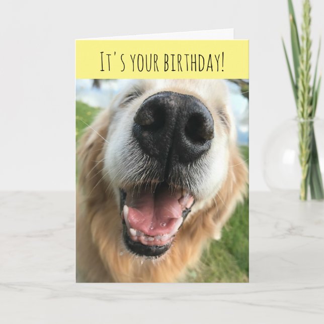 Happy Golden Retriever Dog Birthday Celebration Card (Front)