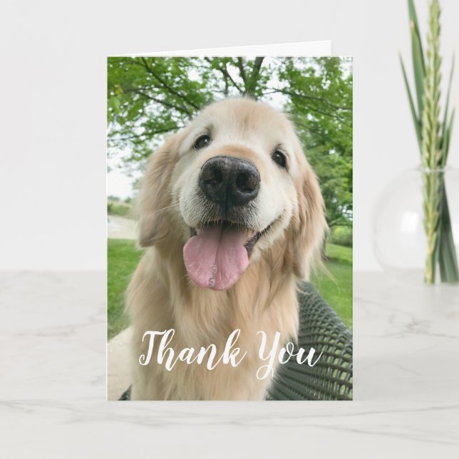 Happy Golden Retriever Dog Thank You Card (Front)