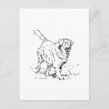 Happy Golden Retriever, Personalised