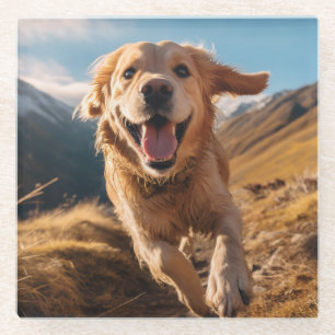Happy Golden Retriever Running Glass Coaster