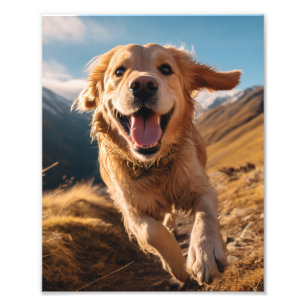 Happy Golden Retriever Running  Photo Print