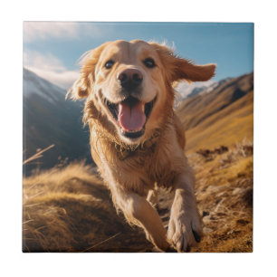 Happy Golden Retriever Running  Tile