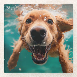 Happy Golden Retriever Swimming Underwater Glass Coaster
