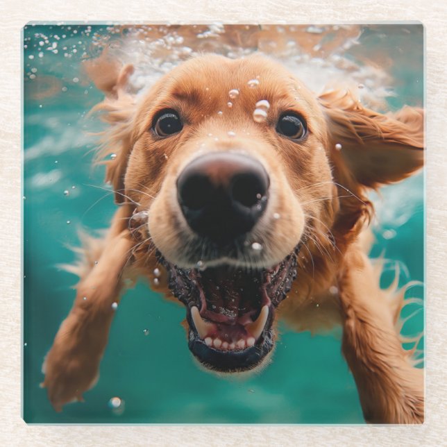 Happy Golden Retriever Swimming Underwater Glass Coaster (Front)