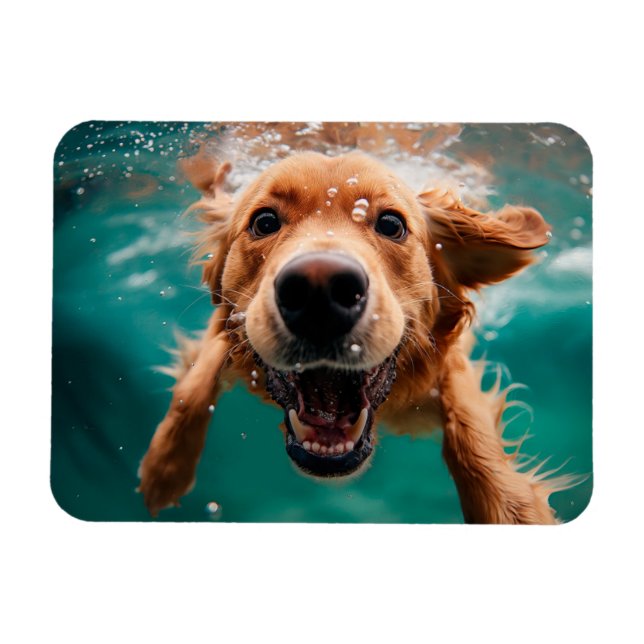 Happy Golden Retriever Swimming Underwater Magnet (Horizontal)