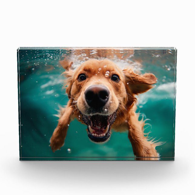 Happy Golden Retriever Swimming Underwater Photo Block (Front)