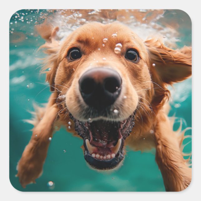 Happy Golden Retriever Swimming Underwater Square Sticker (Front)
