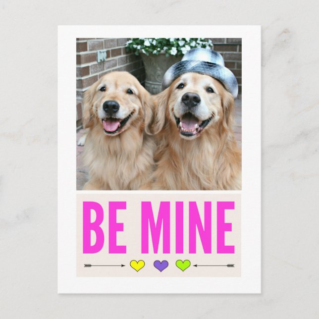 Happy Golden Retrievers Be Mine Valentine's Day Holiday Postcard (Front)