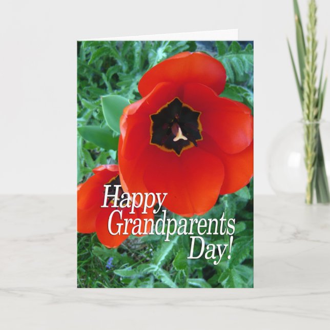 Happy Grandparents Day Grandma - Poppy Flowers Card (Front)
